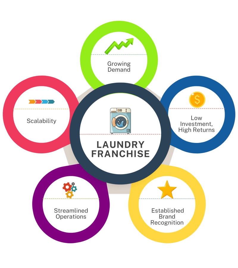 best laundry franchise